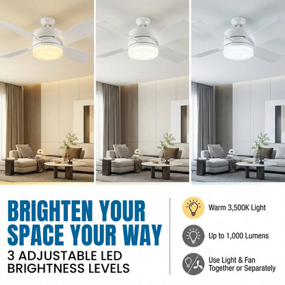 Remote Control Socket Ceiling Fan with Light